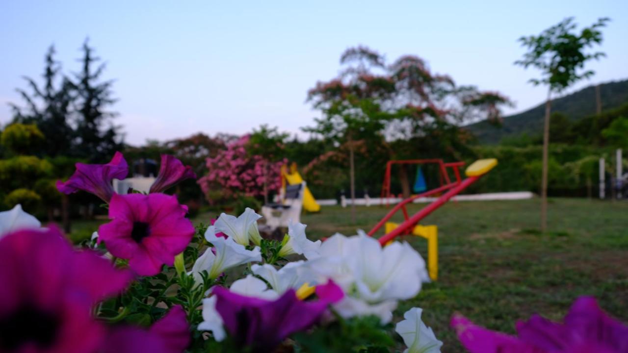 Villa Casa Alegria Olympiada Esterno foto